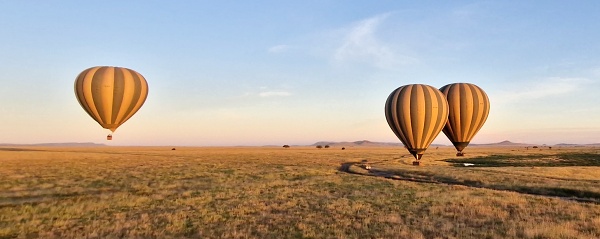 Safari balnom