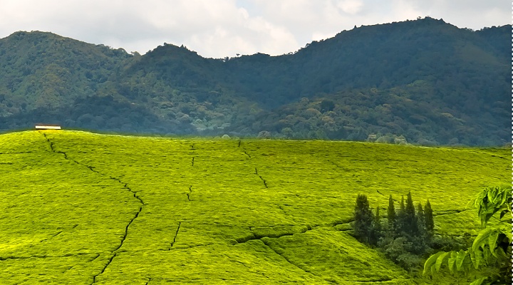 Burundi