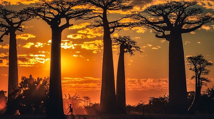 Madagaskar
