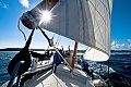 Regata Dalmcia ibenik
