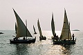 Regata Latinsko idro