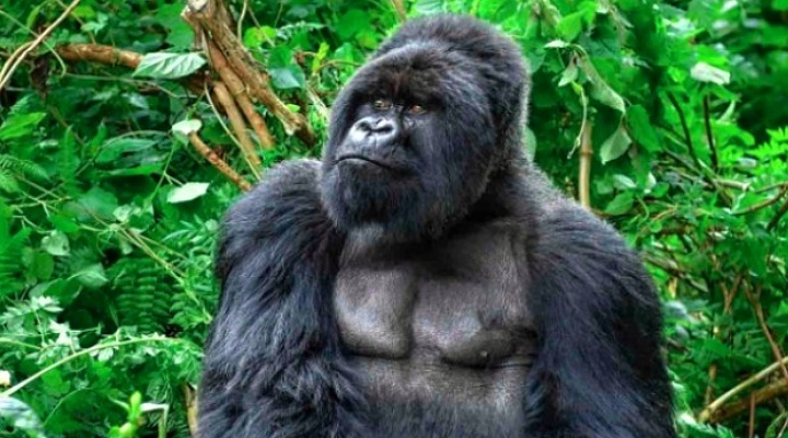 Rwanda