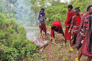 Peenie msa
