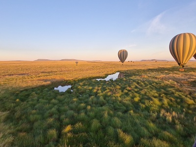 Zlat plne Serengeti, Tanznia