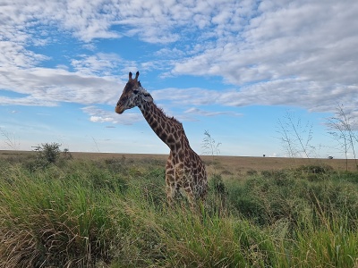 irafa, Tanznia