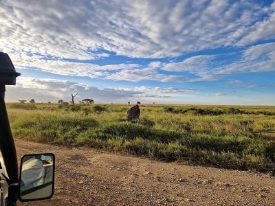 Serengeti, Tanznia