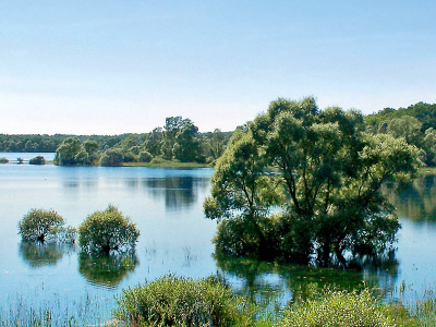 Lac Orient