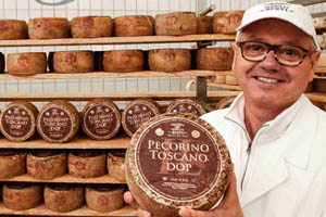 Pecorino