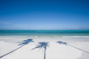 pl Zanzibar