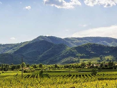 colli euganei
