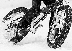 snow fat bike