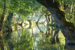 Marais Poitevin