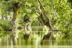 Marais Poitevin