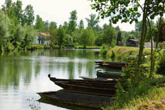 Marais Poitevin