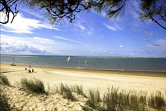 Royan