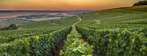 Champagne-Ardenne