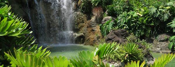 Franczska Guyana