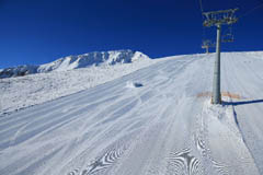 Carving