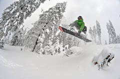 freeride