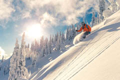 freeride