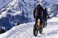 Snowbike