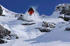 Freeride