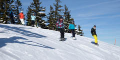 Snowboard