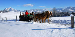 Freeride