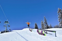 freestyle