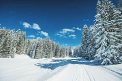 Dachstein West beky
