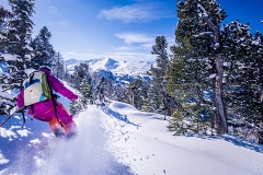 Gastein prroda
