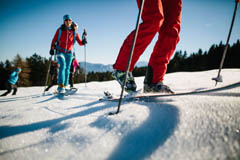 skialpin