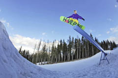 freestyle