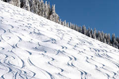 Ski amad lyovanie
