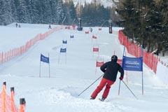 Ted Ligety Stuhleck