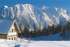 Beeck lyovanie