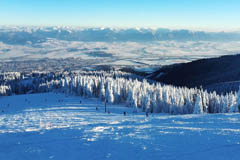Vek Fatra
