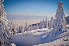 offpiste