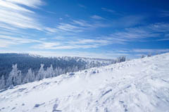 Martinsk hole