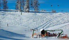 freeride
