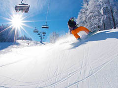 snowboardista