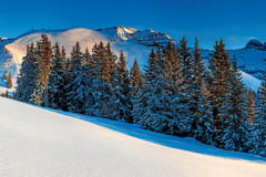 freeride