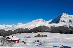 dovolenka