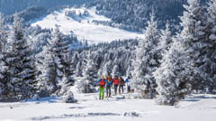 Skitouring