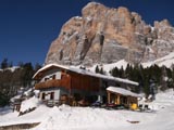 Cortina oberstvenie