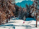 Cortina cyklistika