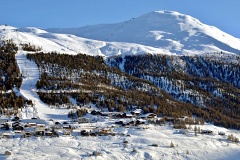 Teola