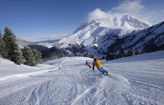 Val di Fiemme