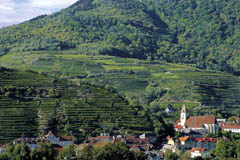 Wachau