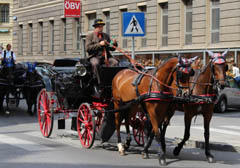 Viede fiaker